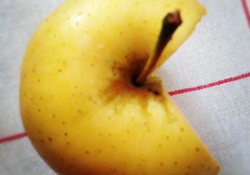 Pacman fruta